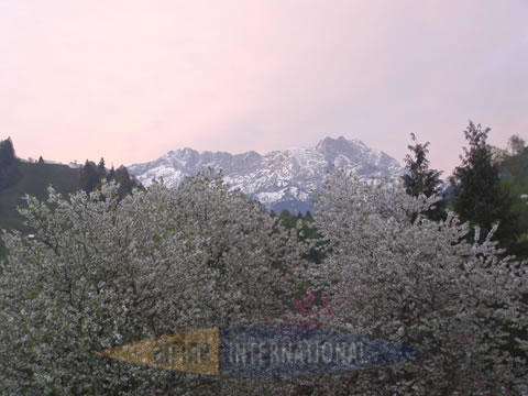 Dreitorspitze im Fr&uuml;hling von der Fritz M&uuml;ller Strasse.