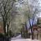 Fritz Mueller Strasse