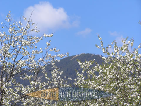 Blick auf das Wankhaus