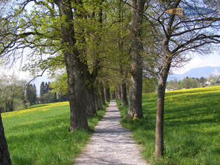 Kottmueller Allee in Murnau/Oberbayern