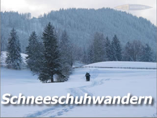 Schneeschuhwandern