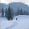SchneeschuhWandern