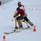 Skibob in action