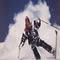 Skifahren mit Alpine International